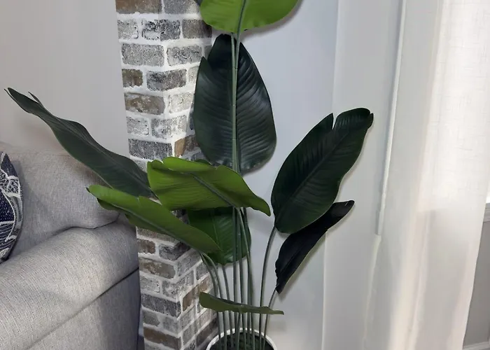 Apartamento Stylish 2bedroom W Games & Free Parking